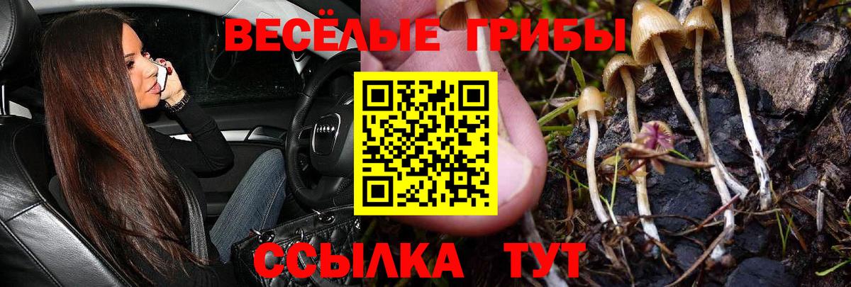 Псилоцибиновые грибы мицелий  Псилоцибиновые грибы Magic Shrooms  Архангельск  Вход с VPN 